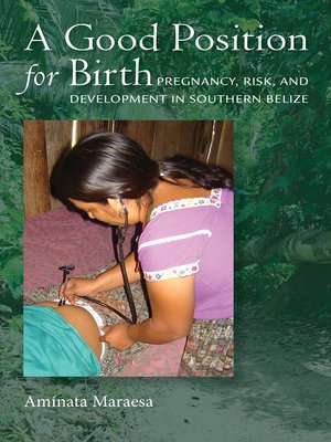 cover image of A Good Position for Birth